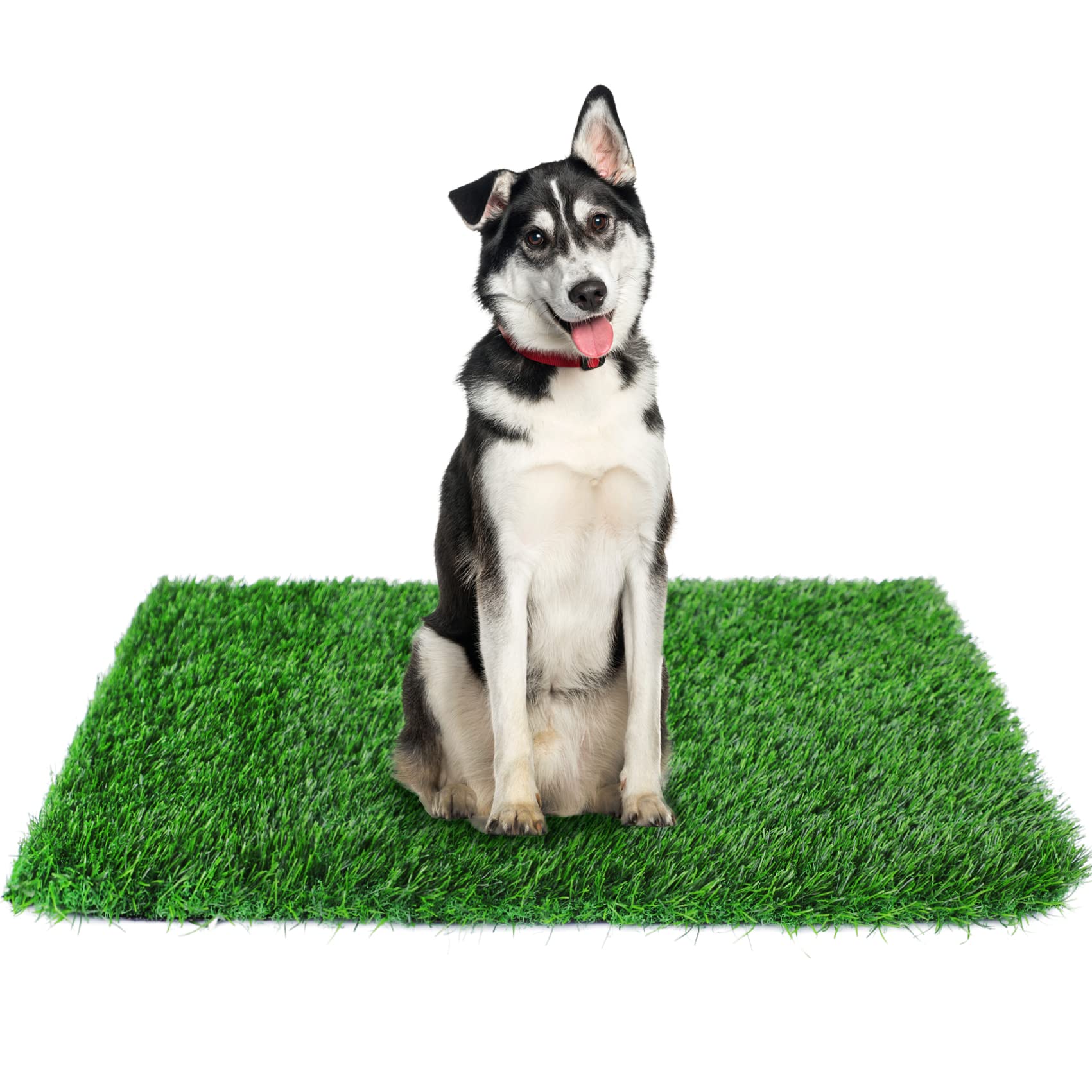 GLOBREEN bandeja de césped artificial para perros 34x23, ideal para entrenamiento interior y exterior.