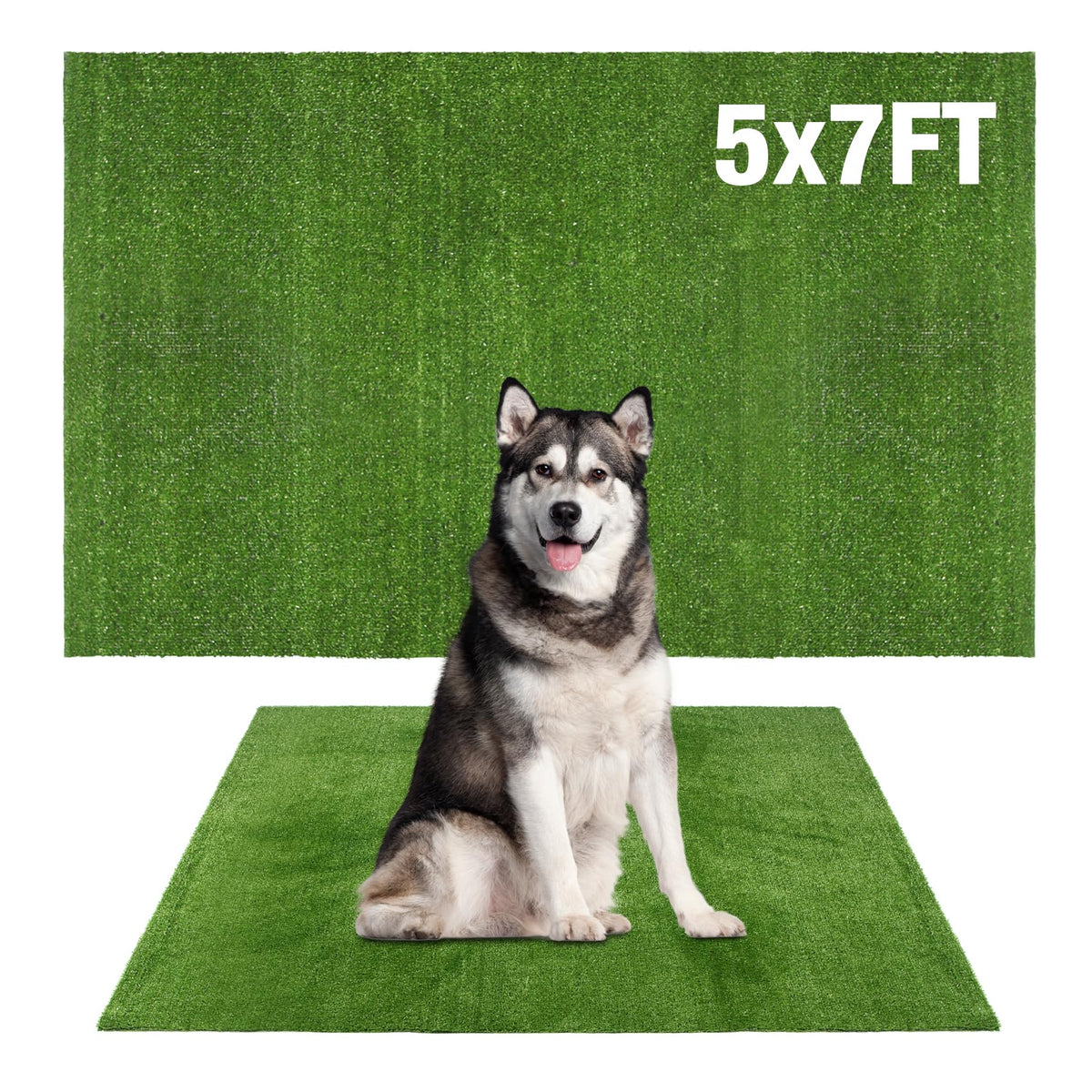 GLOBREEN cesped artificial grande para perros, ideal para entrenamiento de higiene en interiores.
