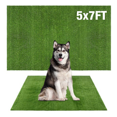 GLOBREEN cesped artificial grande para perros, ideal para entrenamiento de higiene en interiores.