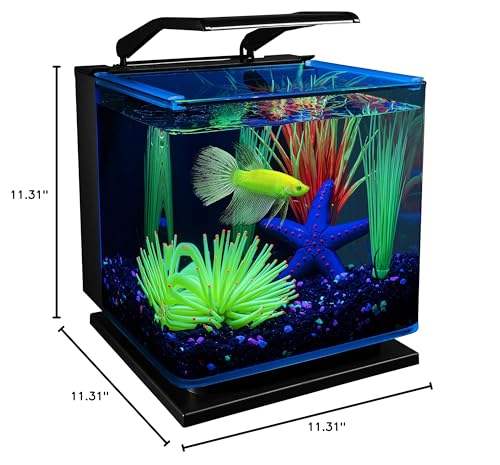 GloFish Betta Shadowbox Kit: transforma tu acuario en un entorno fluorescente con decoracion opcional.