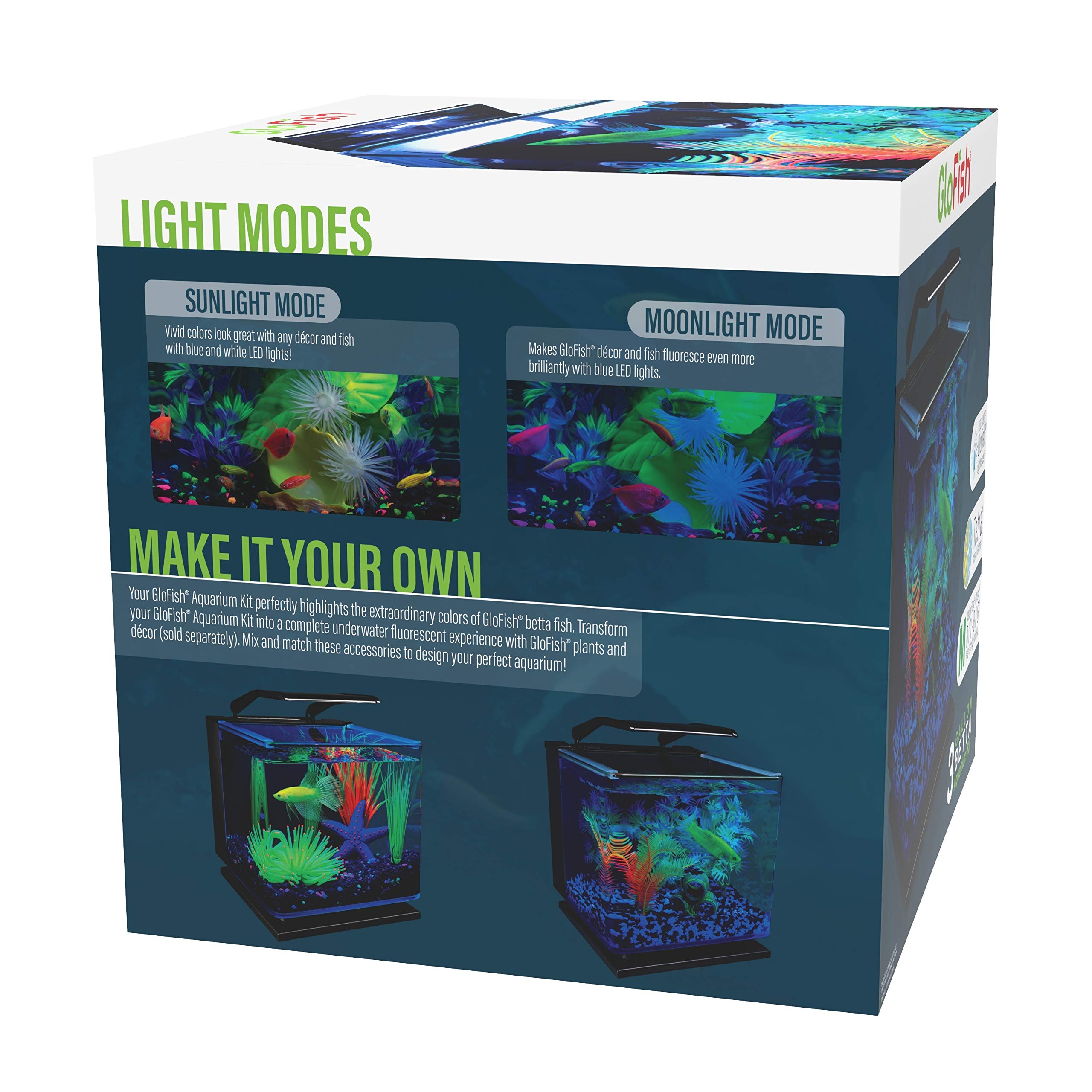GloFish Betta Shadowbox Kit: montaje facil para principiantes y aficionados al acuario.