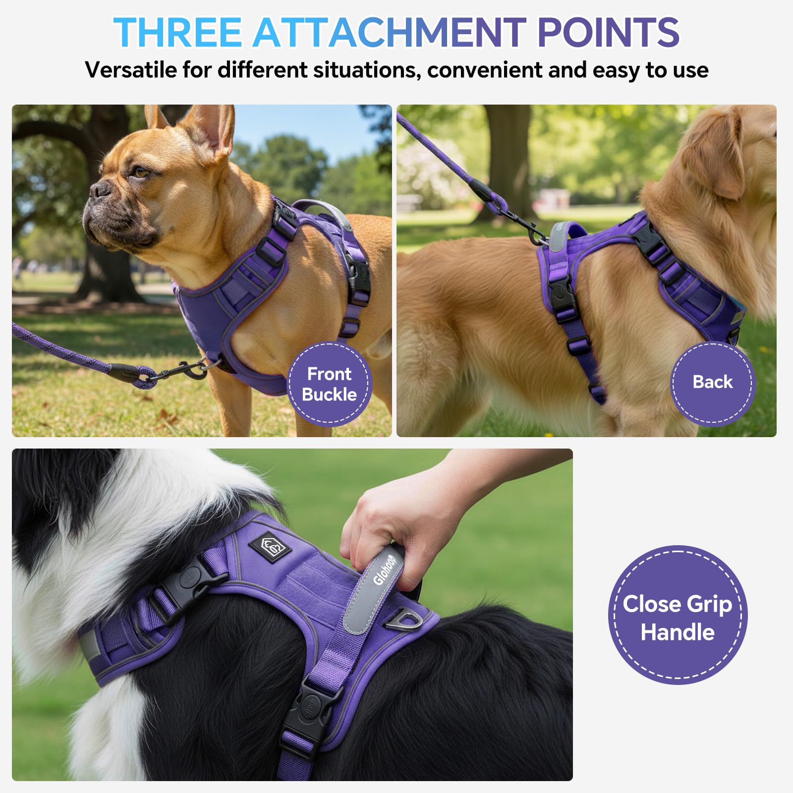 Arnés Glohoop con 3 correas Velcro para ajuste personalizado