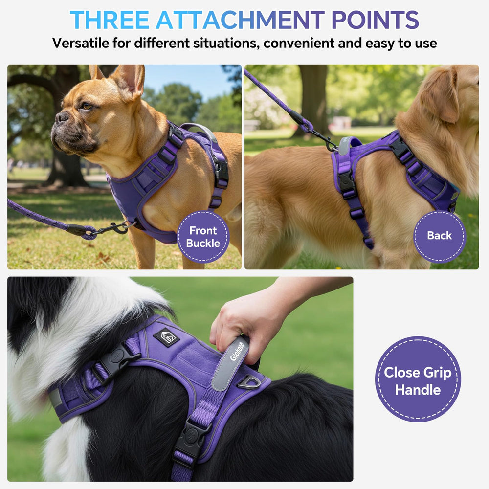 Arnés Glohoop con 3 correas Velcro para ajuste personalizado