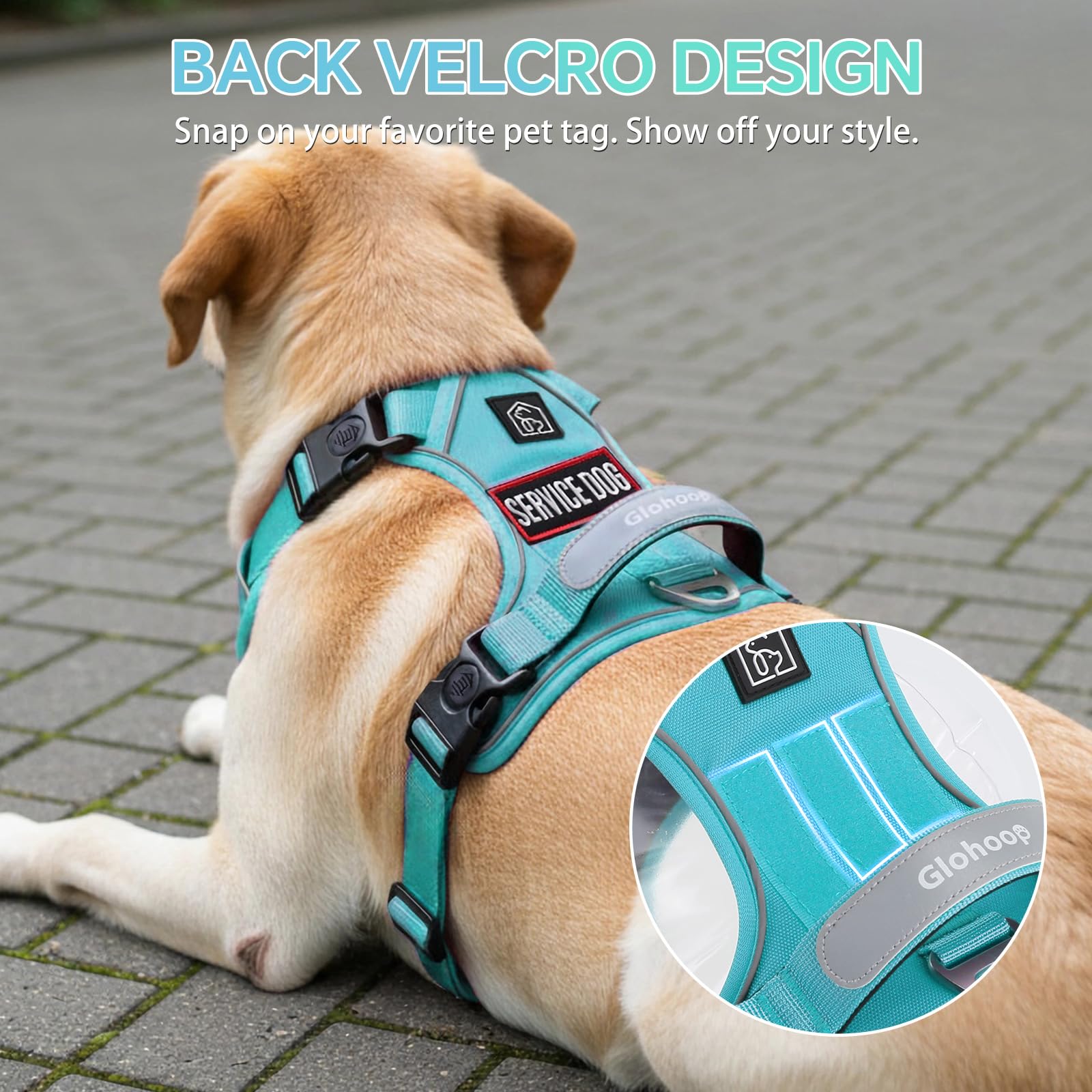 Glohoop arnés de ajuste universal para perros de diferentes tamaños.