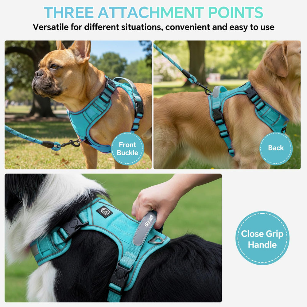 Glohoop arnés con asa de control para manejo rápido de tu mascota.