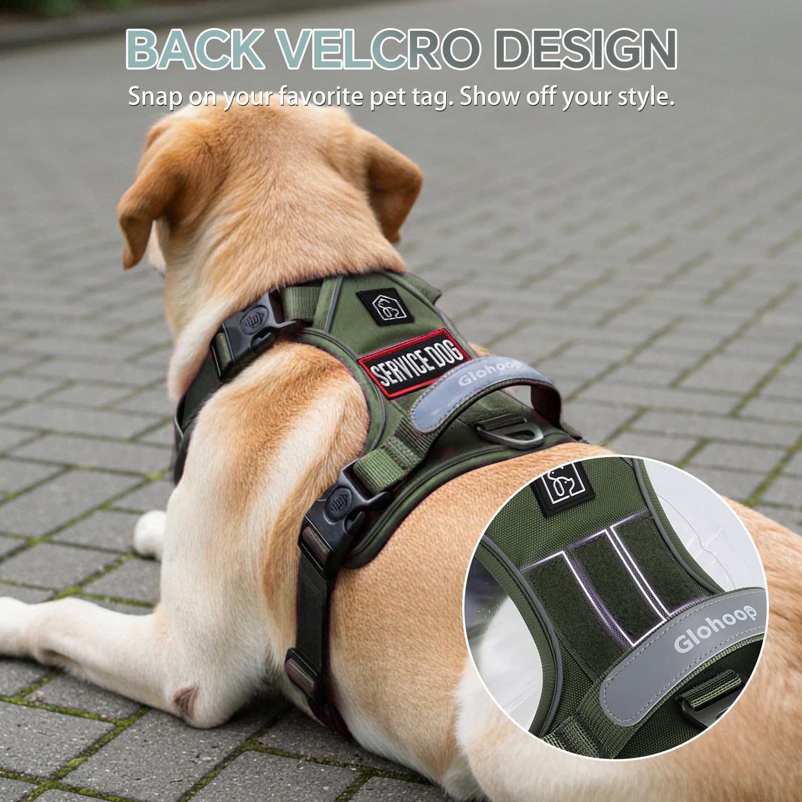 Glohoop arnés reflectivo, visibilidad nocturna para seguridad en caminatas.