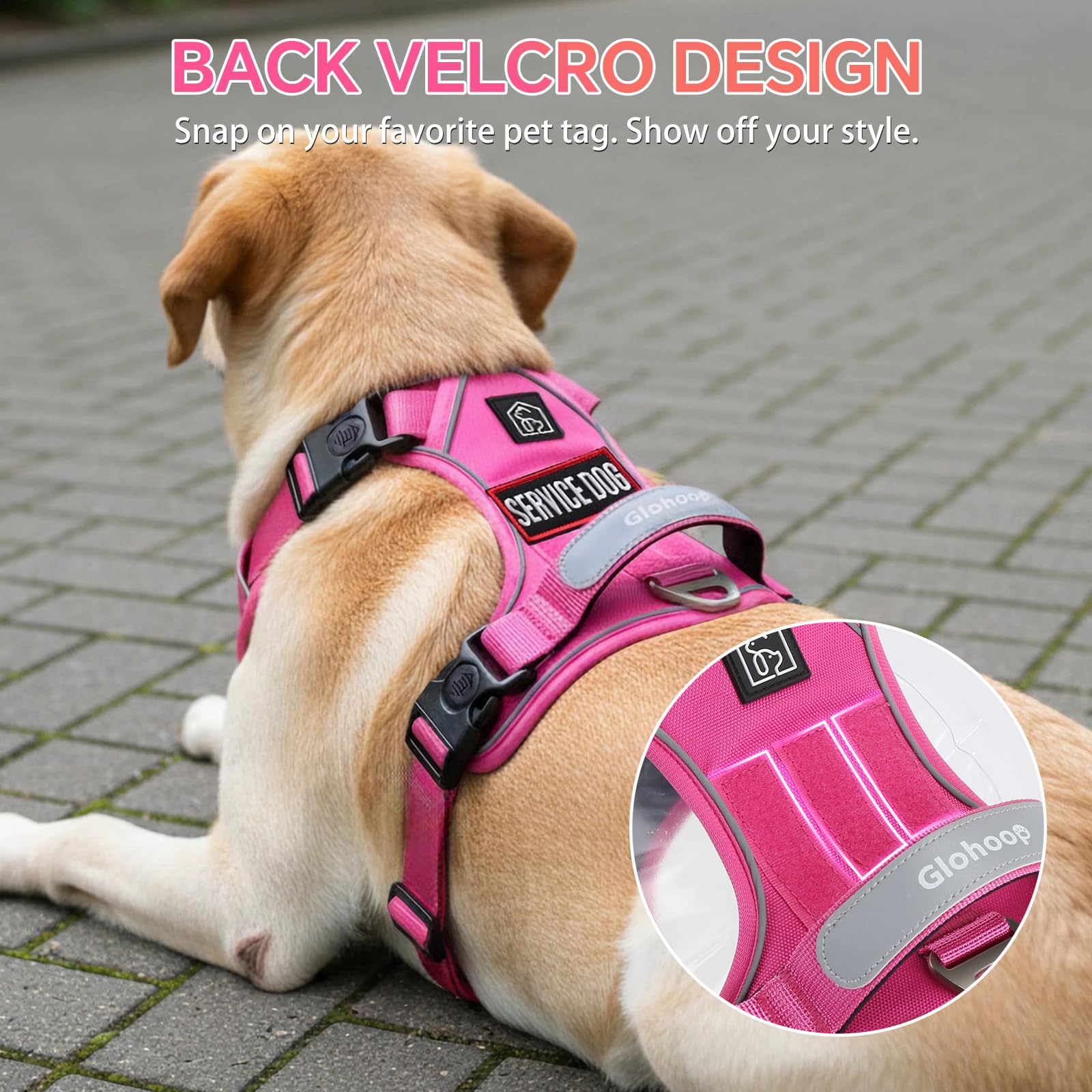 Glohoop arnés fácil de colocar con hebillas rápidas para paseos