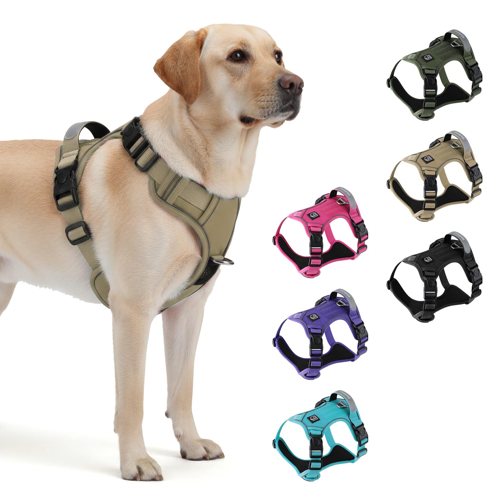 Arnés Glohoop con mango de control para paseos seguros.