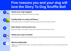 Glory To Dog: ejercicio-cerebro-perro promueve movimiento y estimula la mente durante la búsqueda.