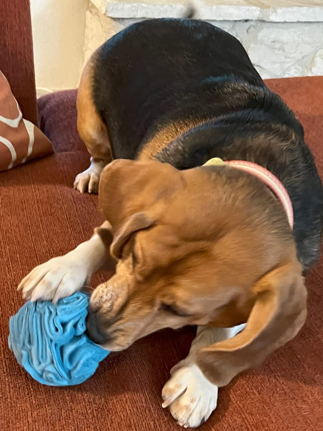 Glory To Dog Juego diario Rosa: perfecto para sesiones cortas de entrenamiento y diversión.