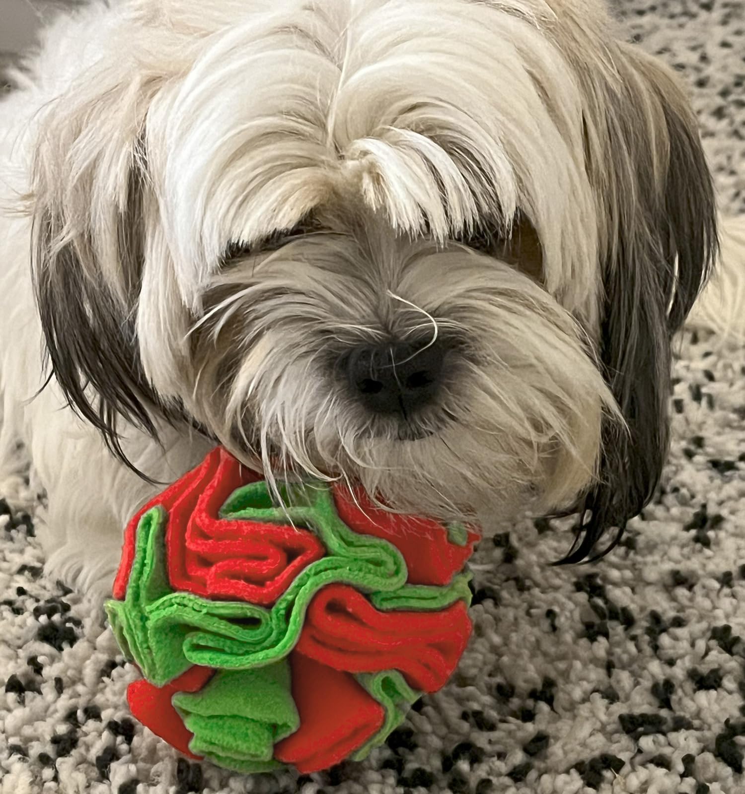 Glory To Dog Juguete Activacion Mental Olfativa: combate el aburrimiento con retos.