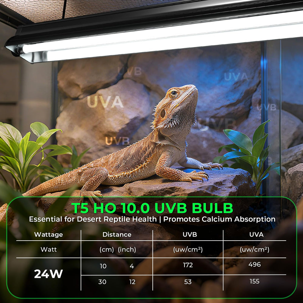 GlowUp cobertura amplia para jaula de reptiles, iluminación uniforme.