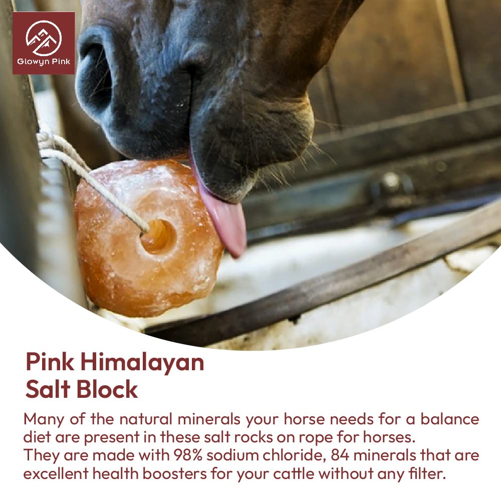 Glowyn Pink sal Himalaya para caballos, sabor natural que puede estimular la ingesta.