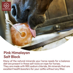 Glowyn Pink sal Himalaya para caballos, sabor natural que puede estimular la ingesta.