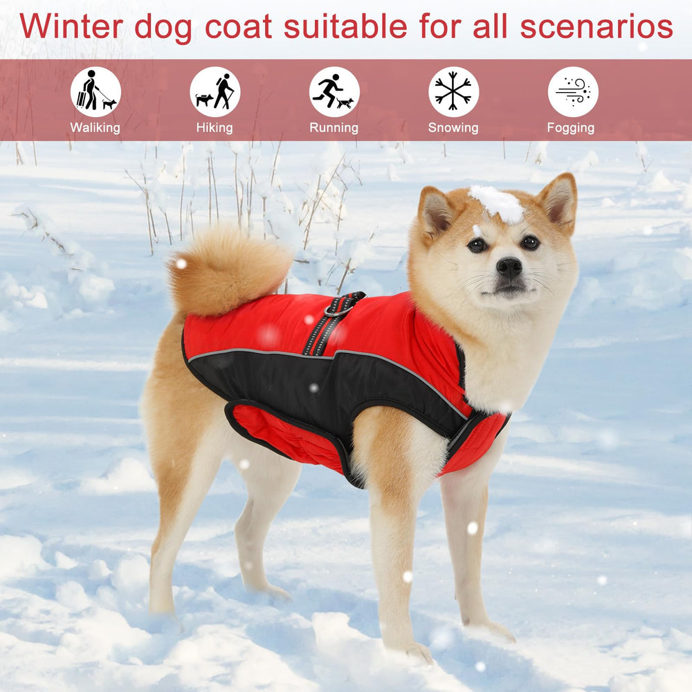 Gmayoo chaqueta perro con tiras reflectantes para mayor visibilidad nocturna.