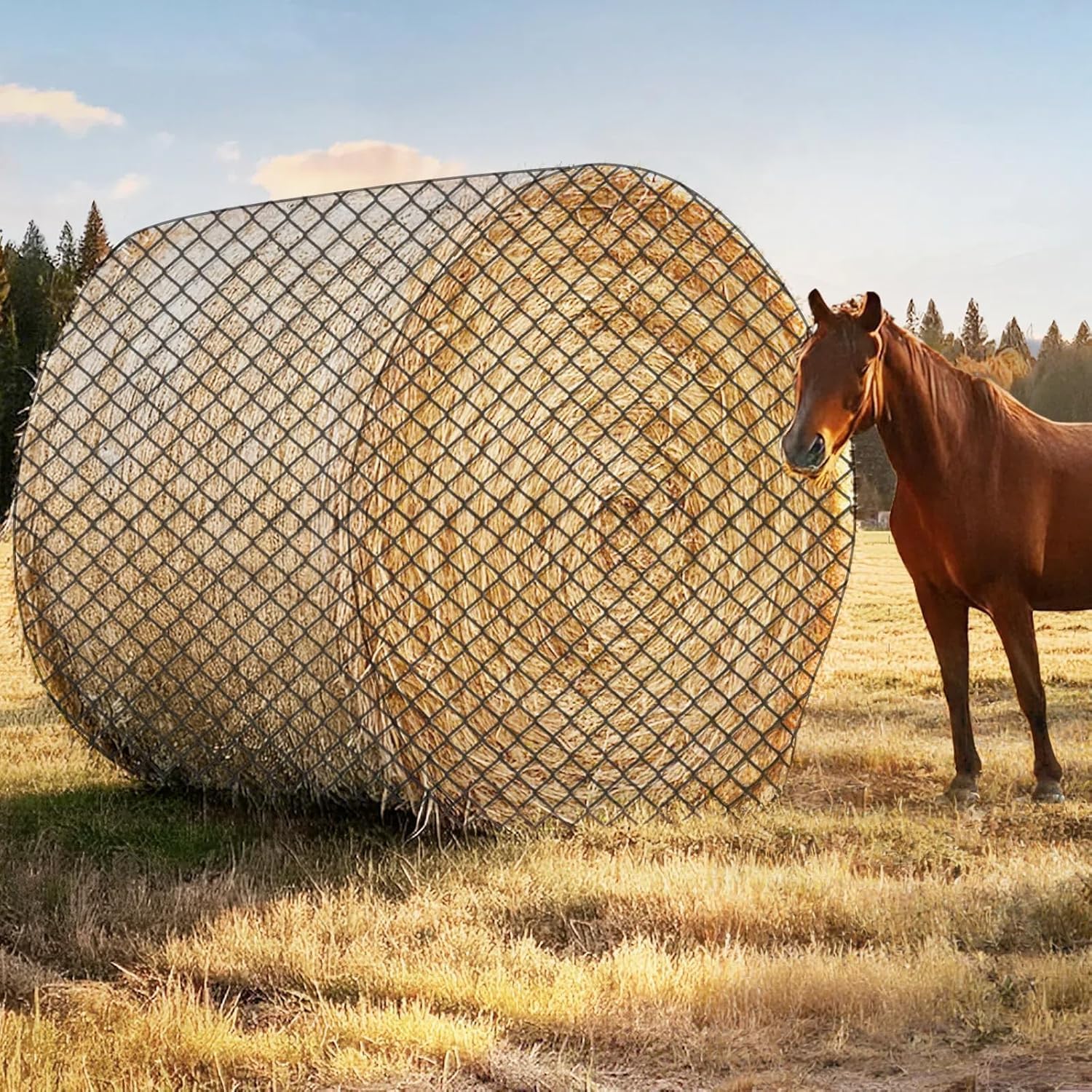 GmTonty red de heno redonda 5x5ft en pasto, control de consumo suave