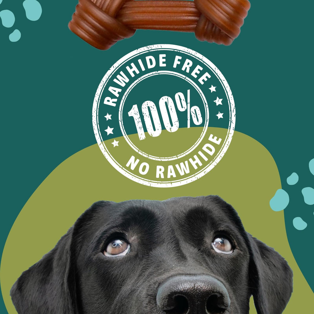 Digestivo suave con psyllium y chicoria para perros