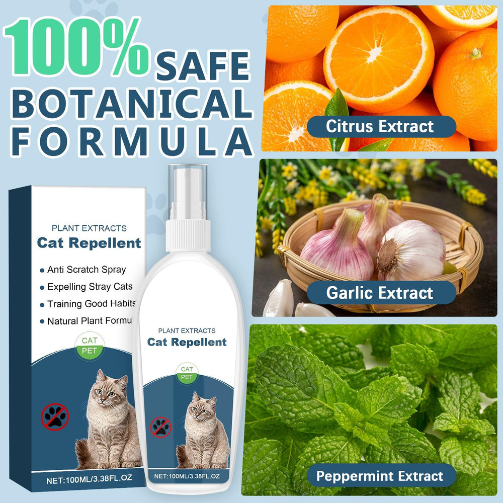 Aroma cítrico suave de Gnaye para un hogar fresco