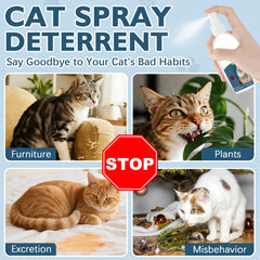 Protección de muebles con Gnaye repelente para gatos