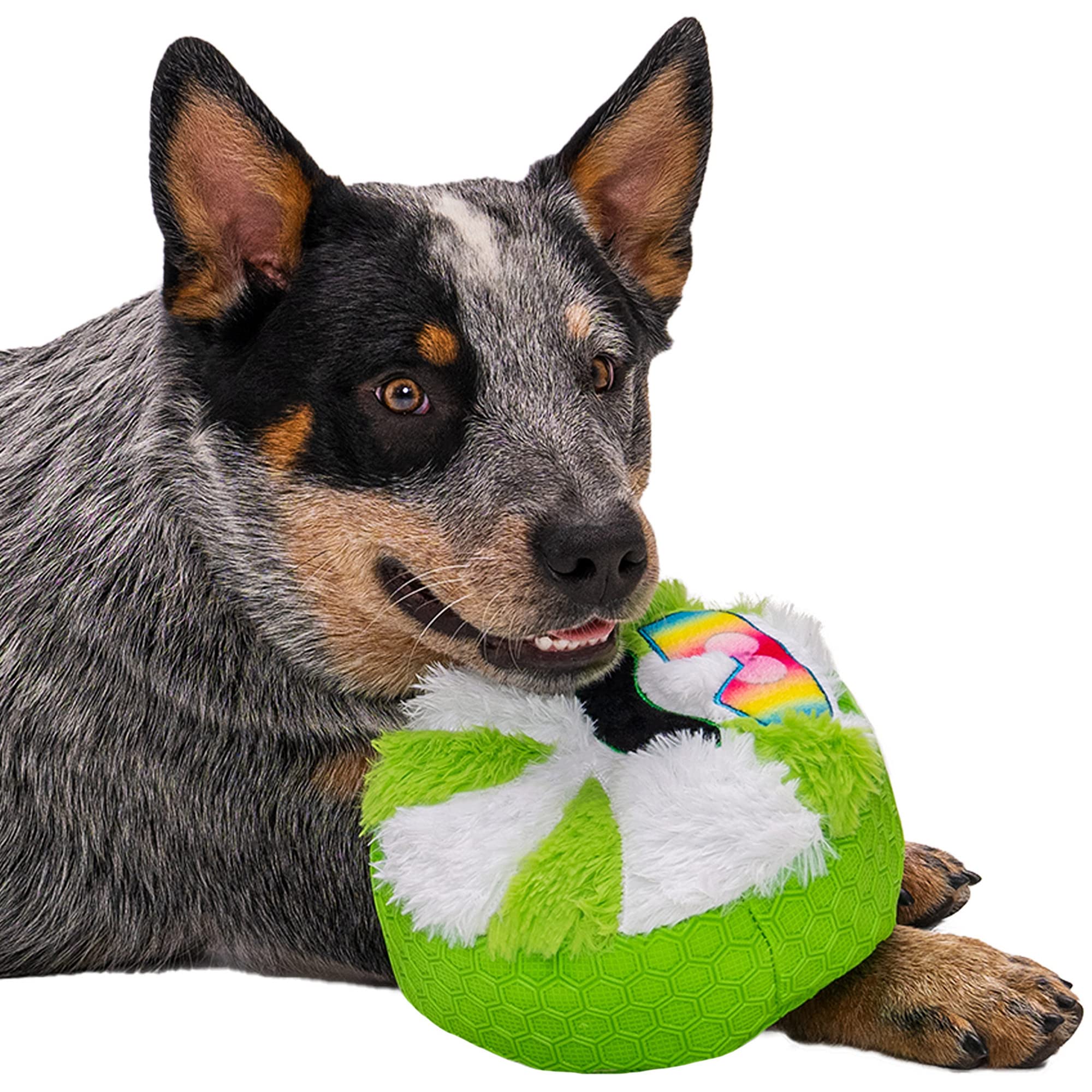 goDog Juguete con sonajero, verde y blanco, estimula juego activo