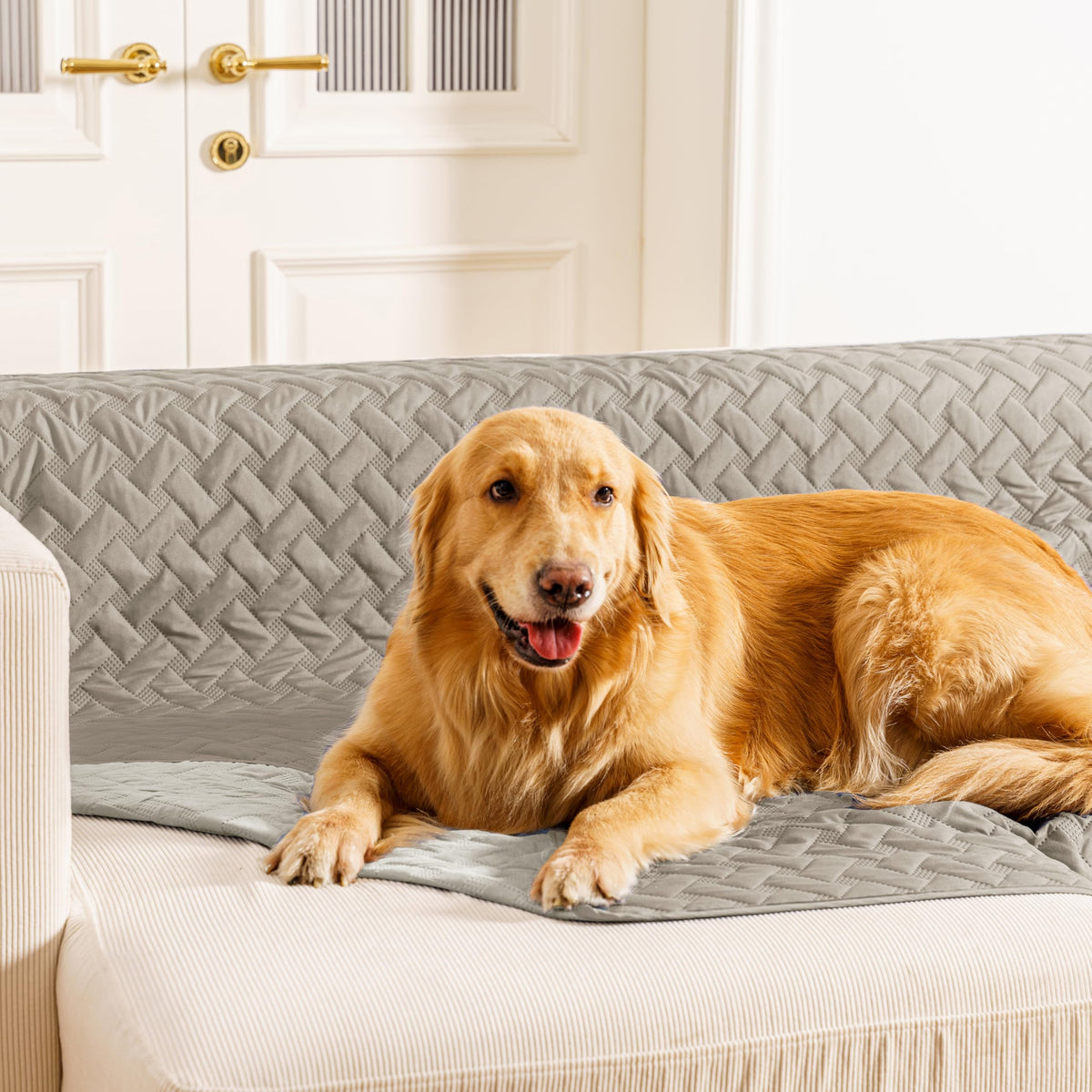Cobertor impermeable gogobunny para cama de perro protege muebles y mantiene seco.