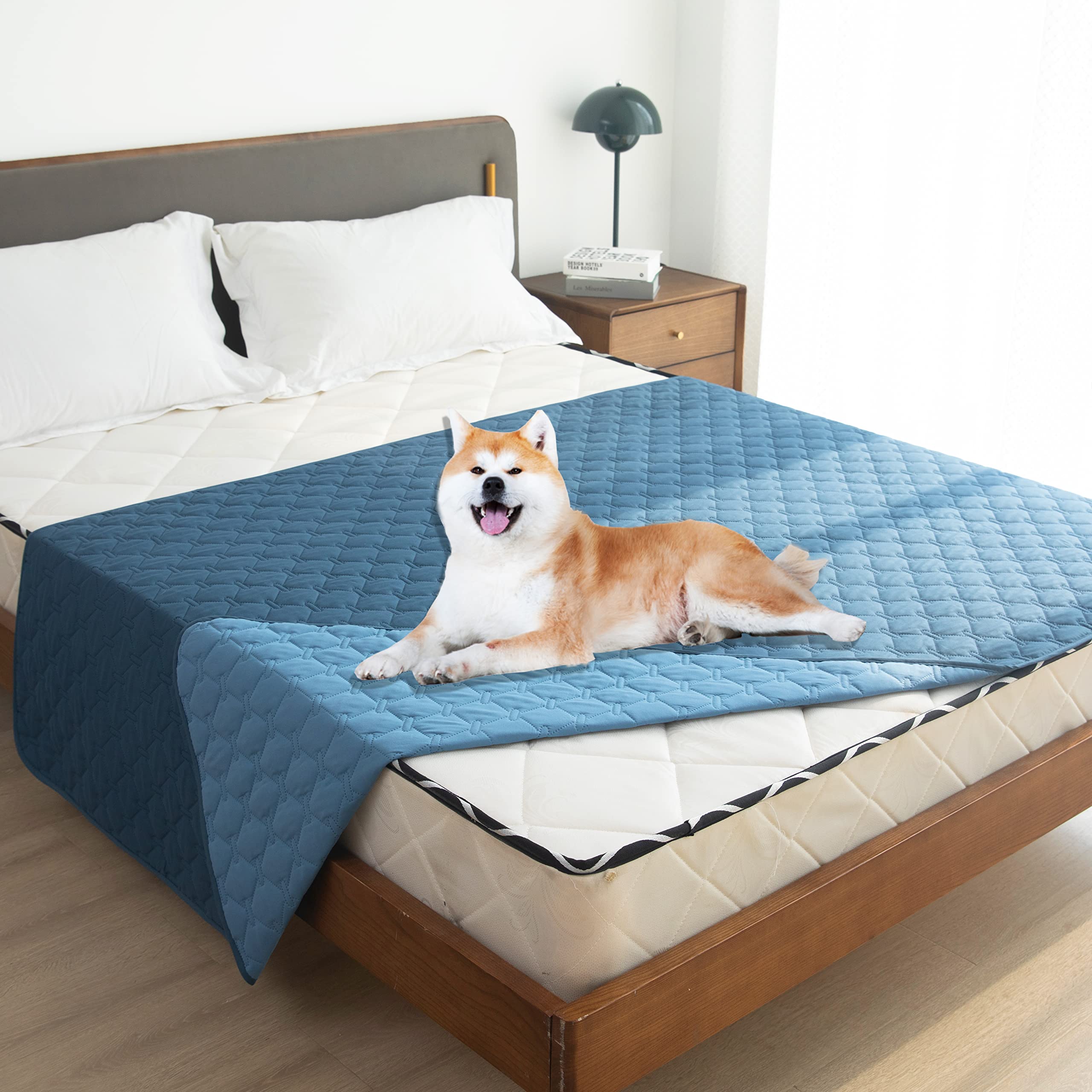 Cobija gogobunny para cama, protege contra manchas y saliva.