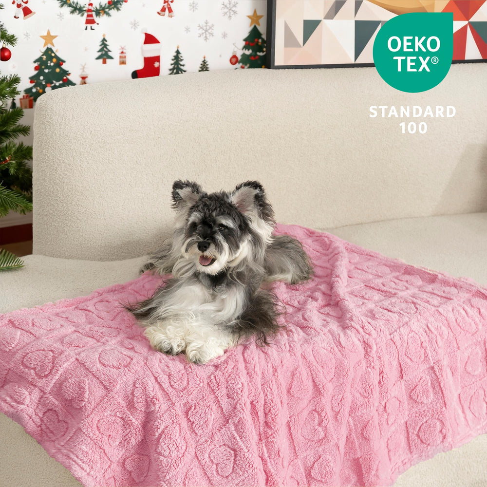 Manta gogobunny con patitas descansando, sensación de seguridad para la siesta.