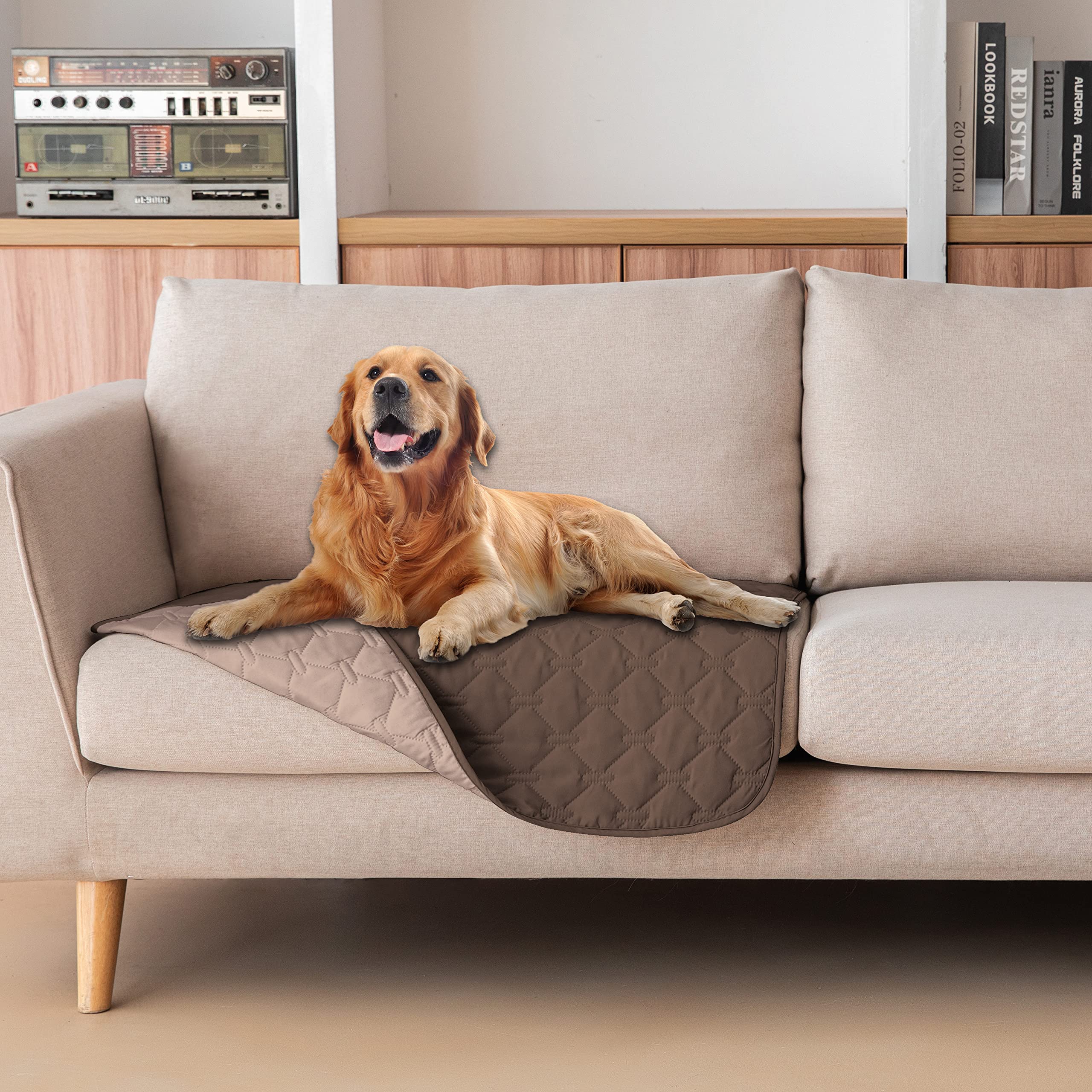 Funda gogobunny para perro, impermeable y de doble cara para mayor versatilidad.