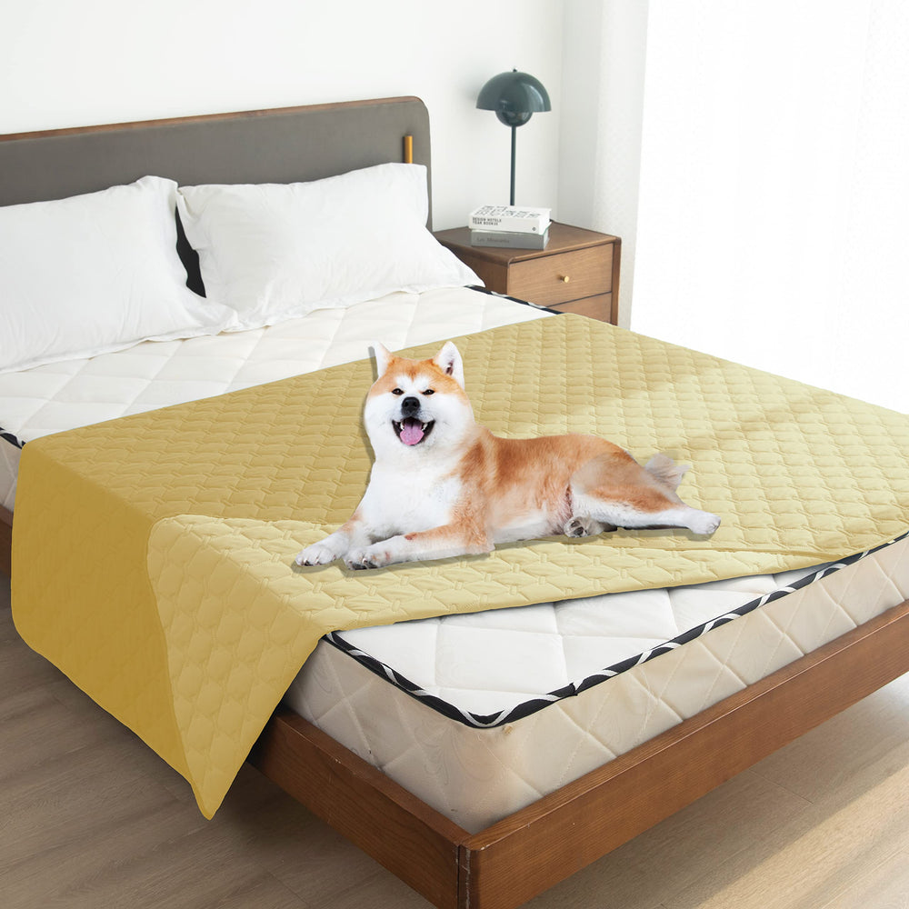 Apta para perros grandes y cachorros activos