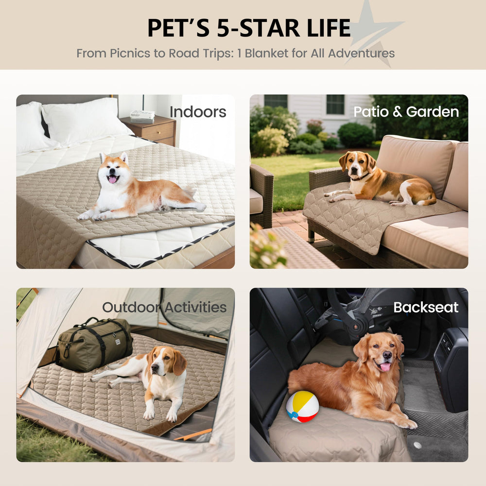 Manta antiarañazos gogobunny para perros y gatos, ideal para sala o dormitorio.