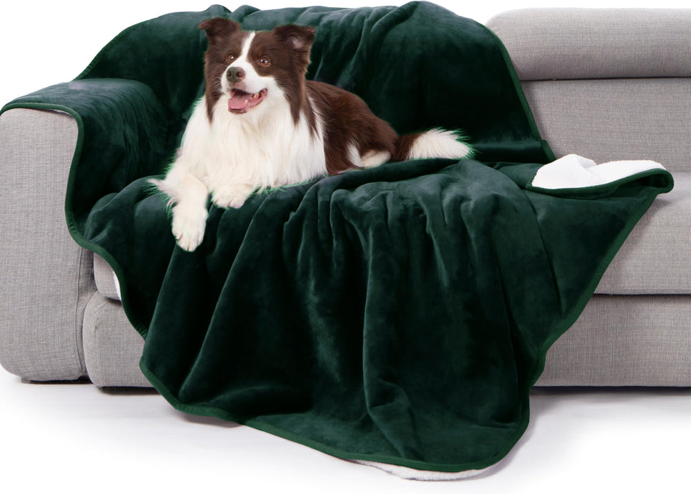 gogobunny manta-cama-impermeable-sherpa-verde-bosque protege camas y muebles de líquidos.