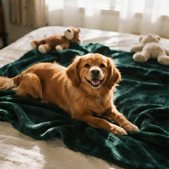 gogobunny manta-cama-impermeable-sherpa-verde-bosque color verde bosque para combinar la decoración.