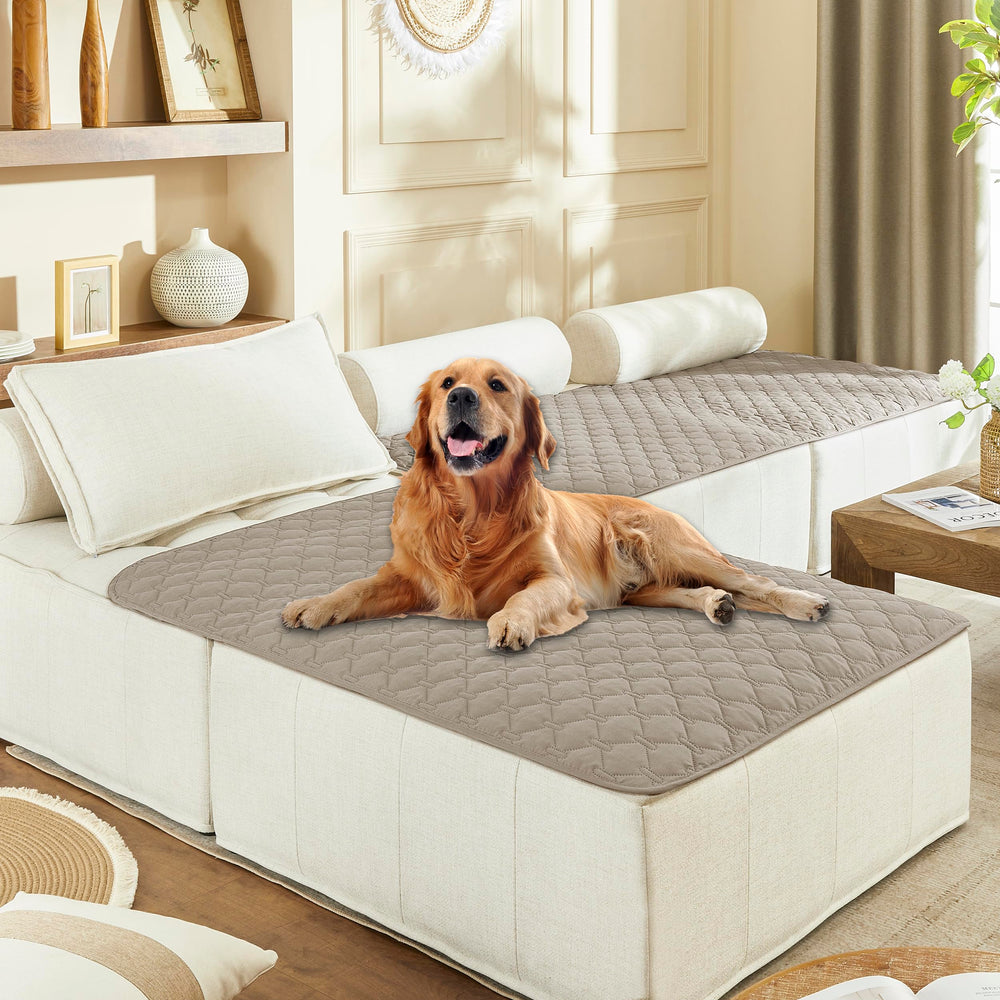 Manta gogobunny impermeable – frontal, protección contra arañazos y derrames en muebles.