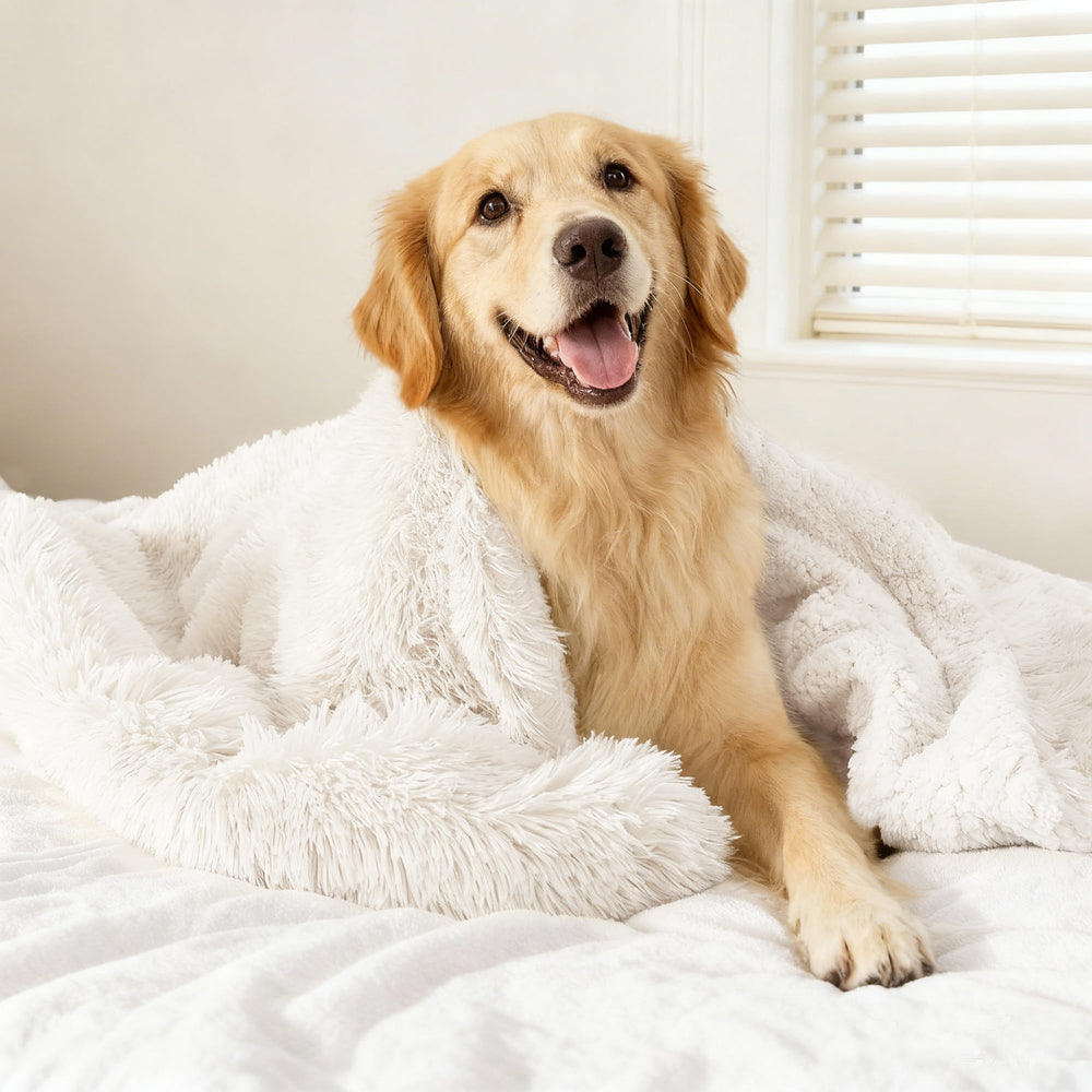 Mant a impermeable gogobunny para perro grande protege el sofá y áreas cercanas