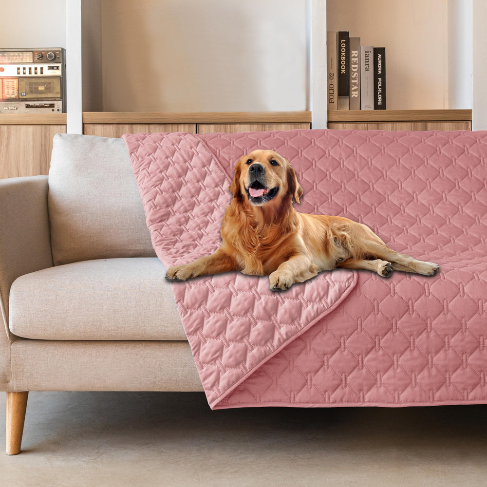 Manta gogobunny protegiendo muebles de arañazos y líquidos