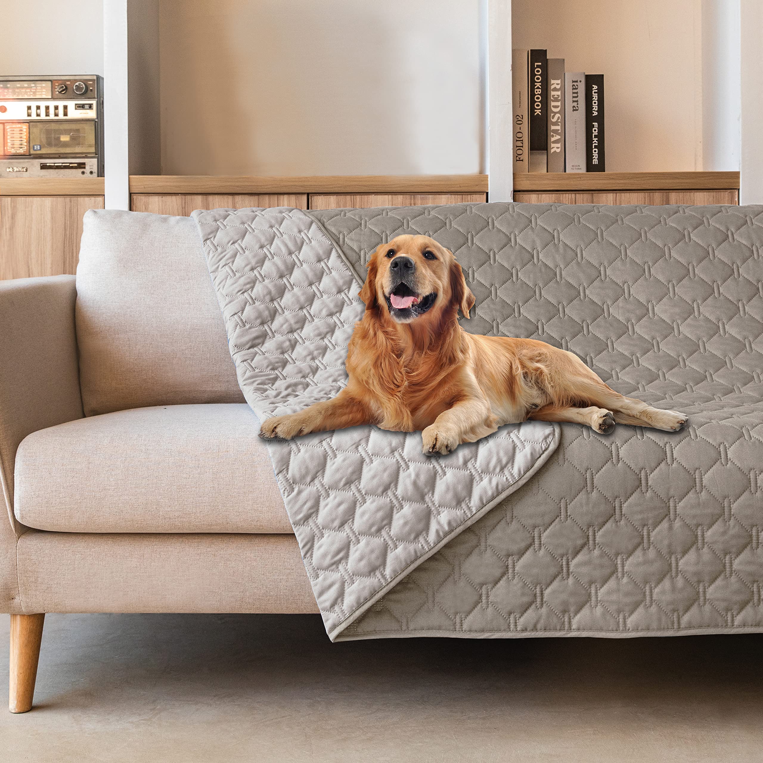 Manta gogobunny de doble capa impermeable frente al sofá, protección de muebles