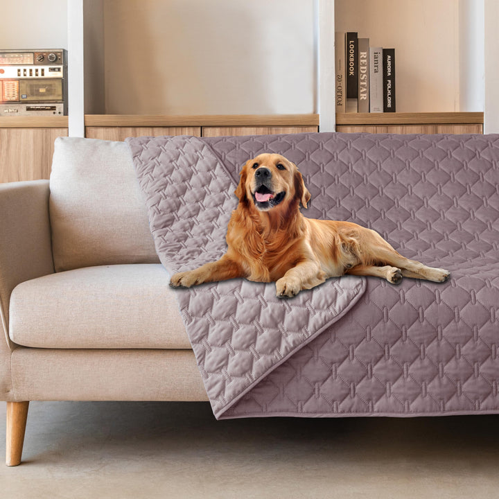 Manta gogobunny para perro doble cara impermeable, ideal para descanso diario