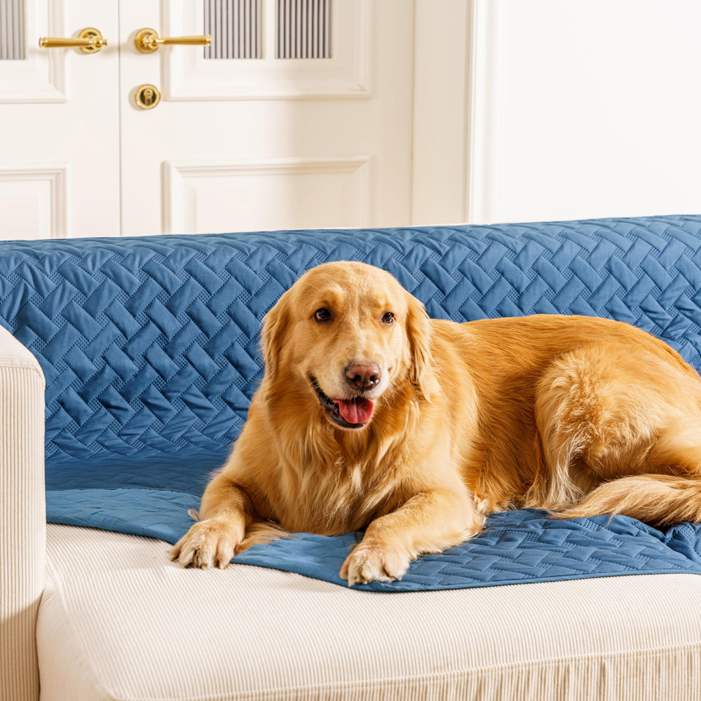 Manta impermeable gogobunny para perro, doble cara, protege muebles y tapizados.