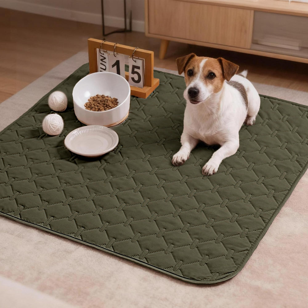 Manta gogobunny para sofá protege muebles ante derrames y pelusa