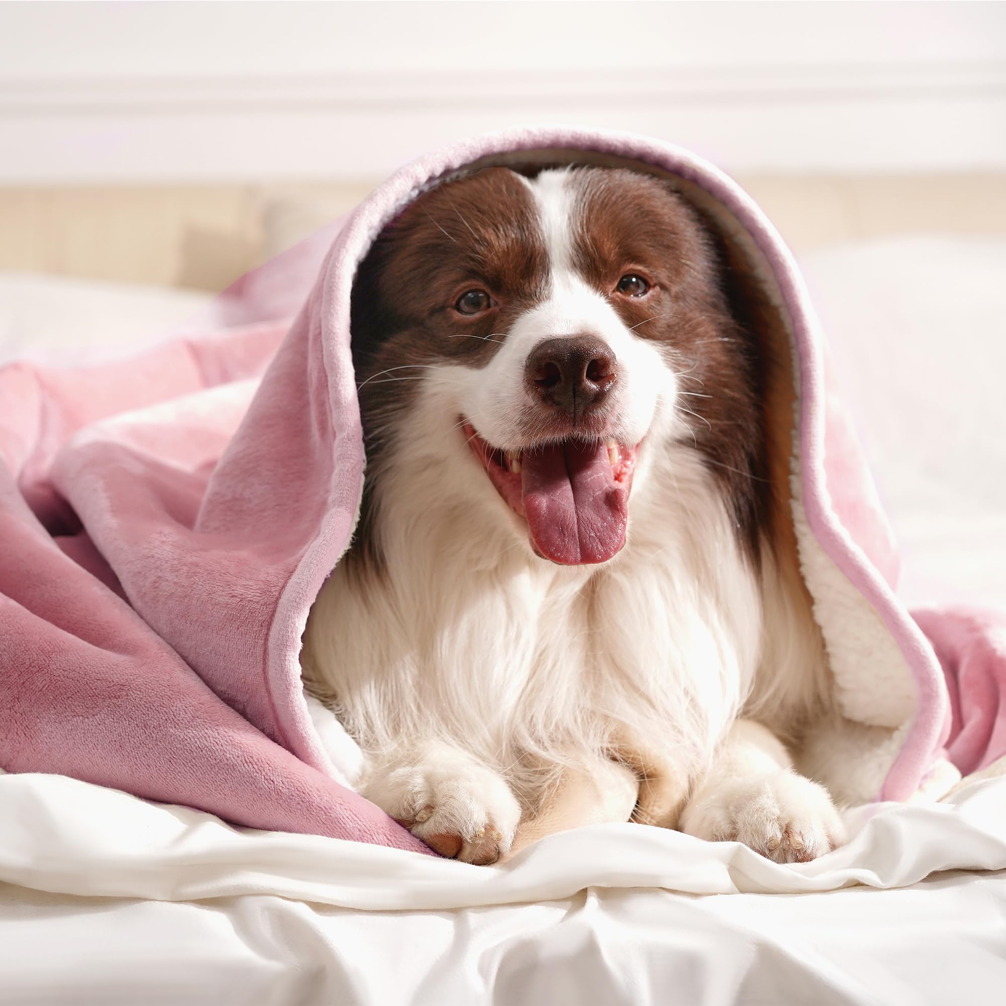 Sherpa 260gsm que aporta calor duradero para siestas de mascotas