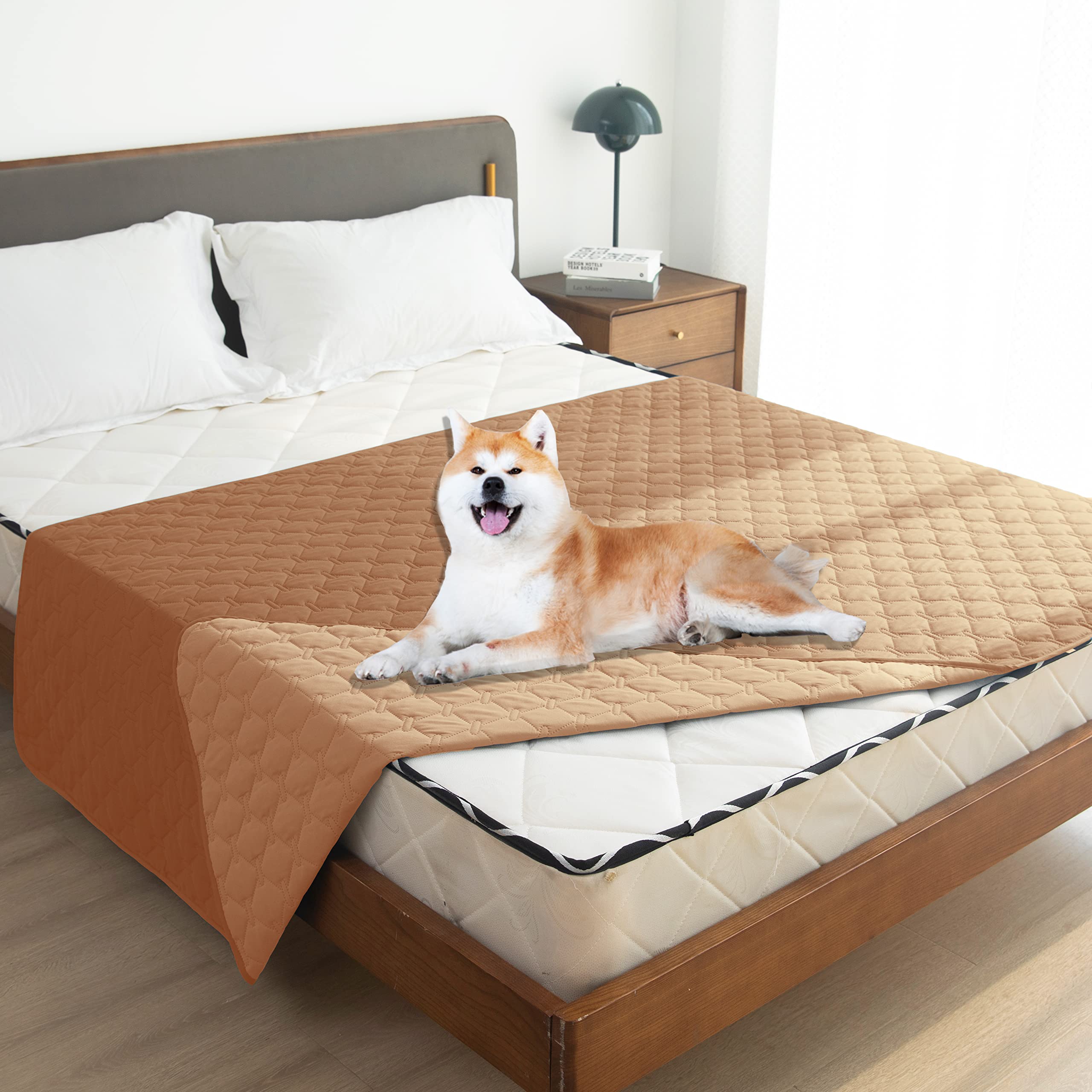 Protección de muebles con gogobunny para mascotas y visitas.