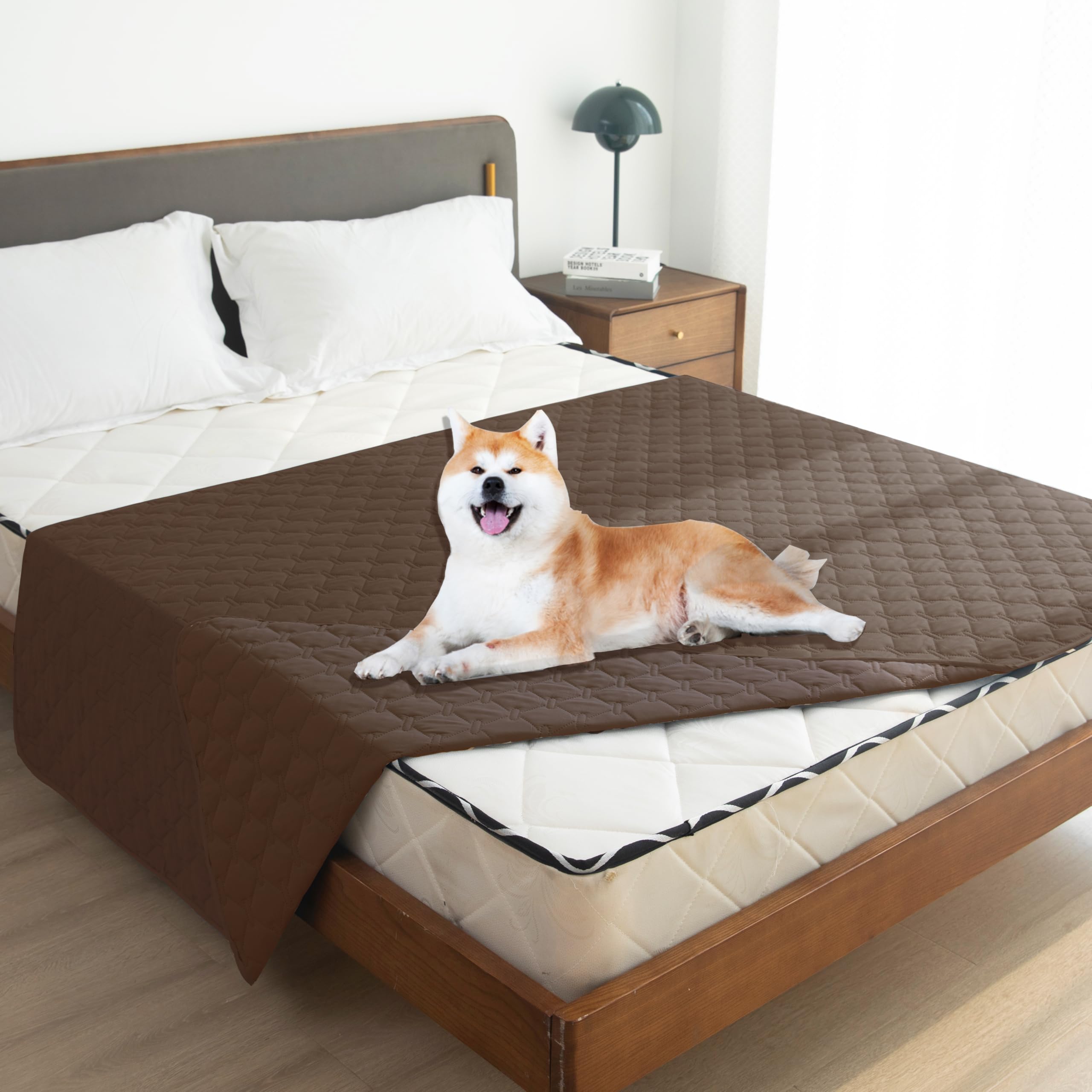 Protección duradera para perros y gatos con la manta gogobunny.
