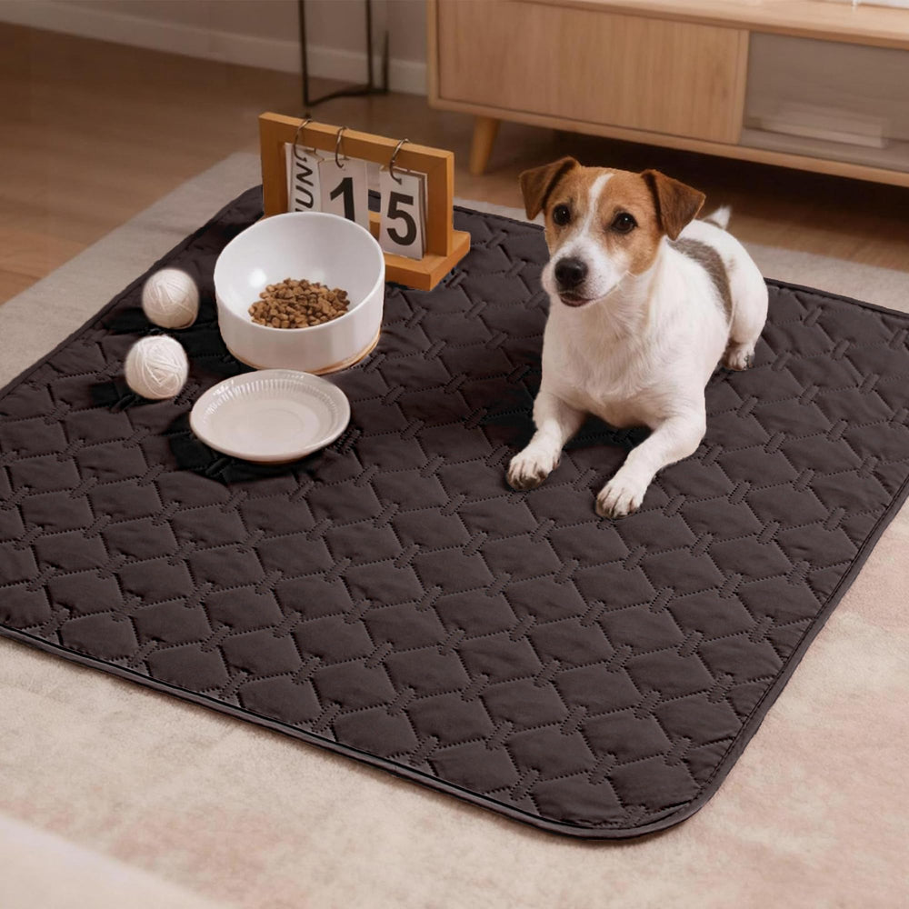 Manta gogobunny tejido duradero, suave y seguro para cachorros activos.