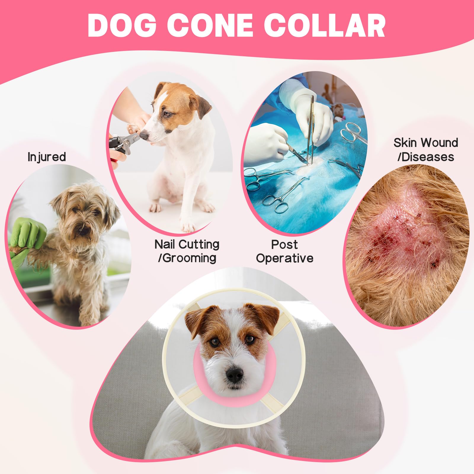 GoGoPaw collar cono suave posoperatorio para perros pequeños