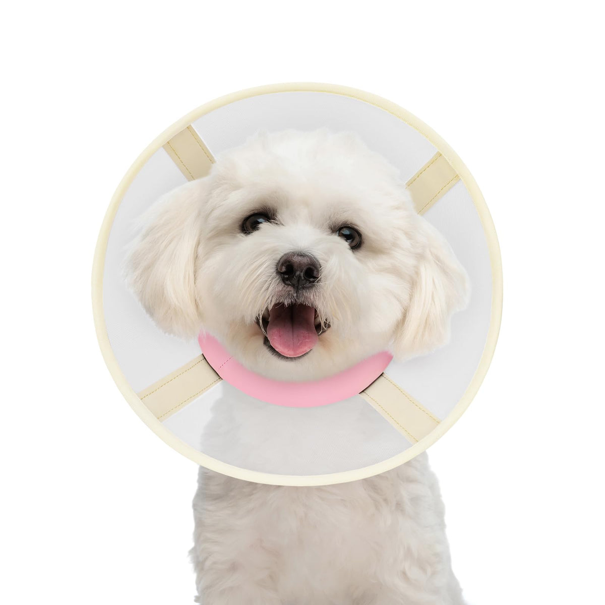 GoGoPaw collar cono suave en malla rosa para recuperación de perros pequeños