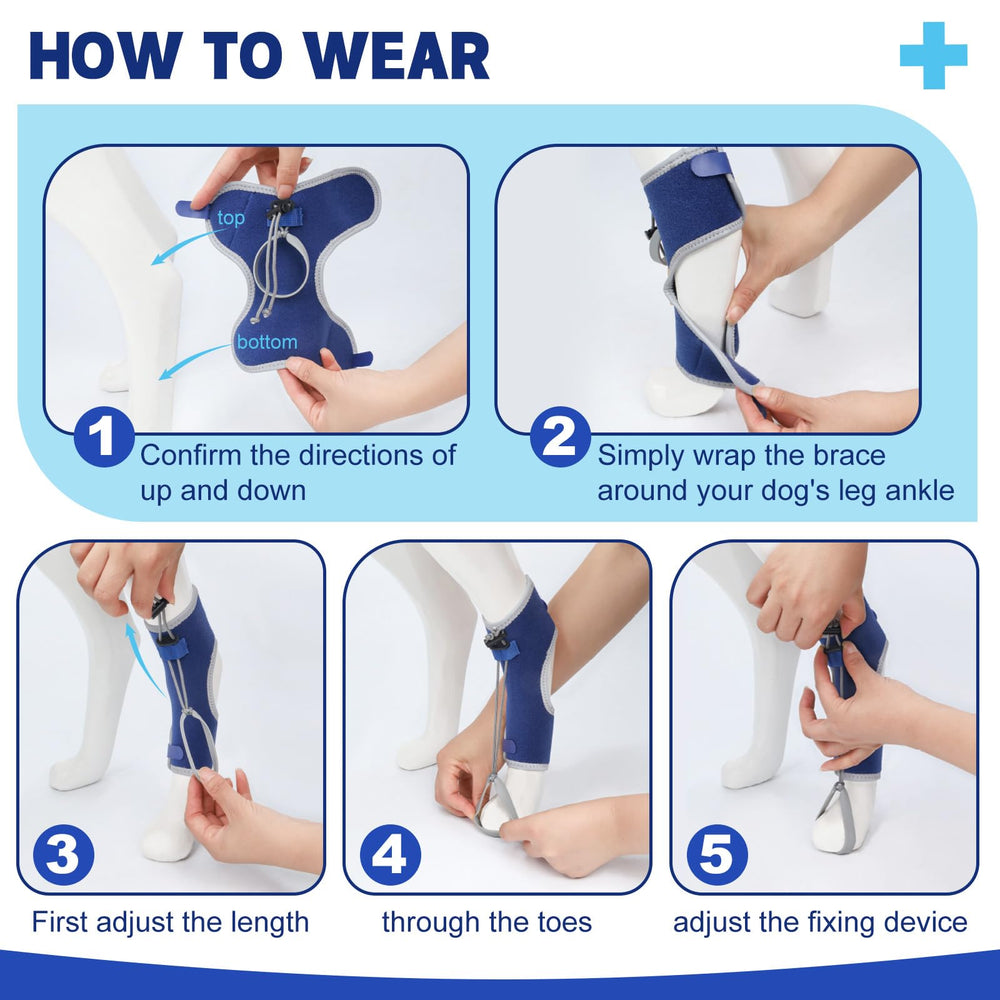 GoGoPaw protección uñas patas caninas, cuida la patita delicada