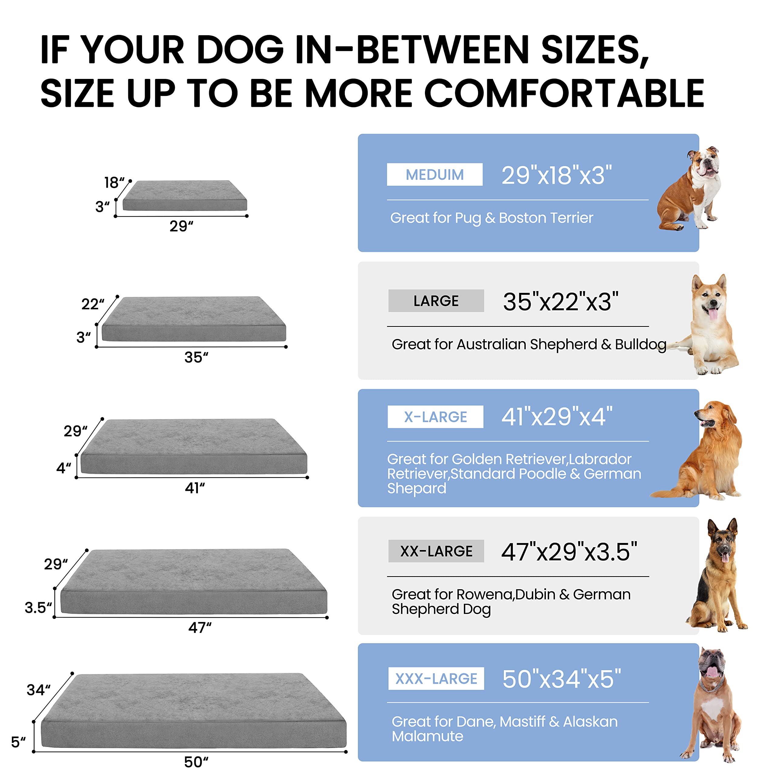 Uso seguro en jaula o cama grande para perros XL