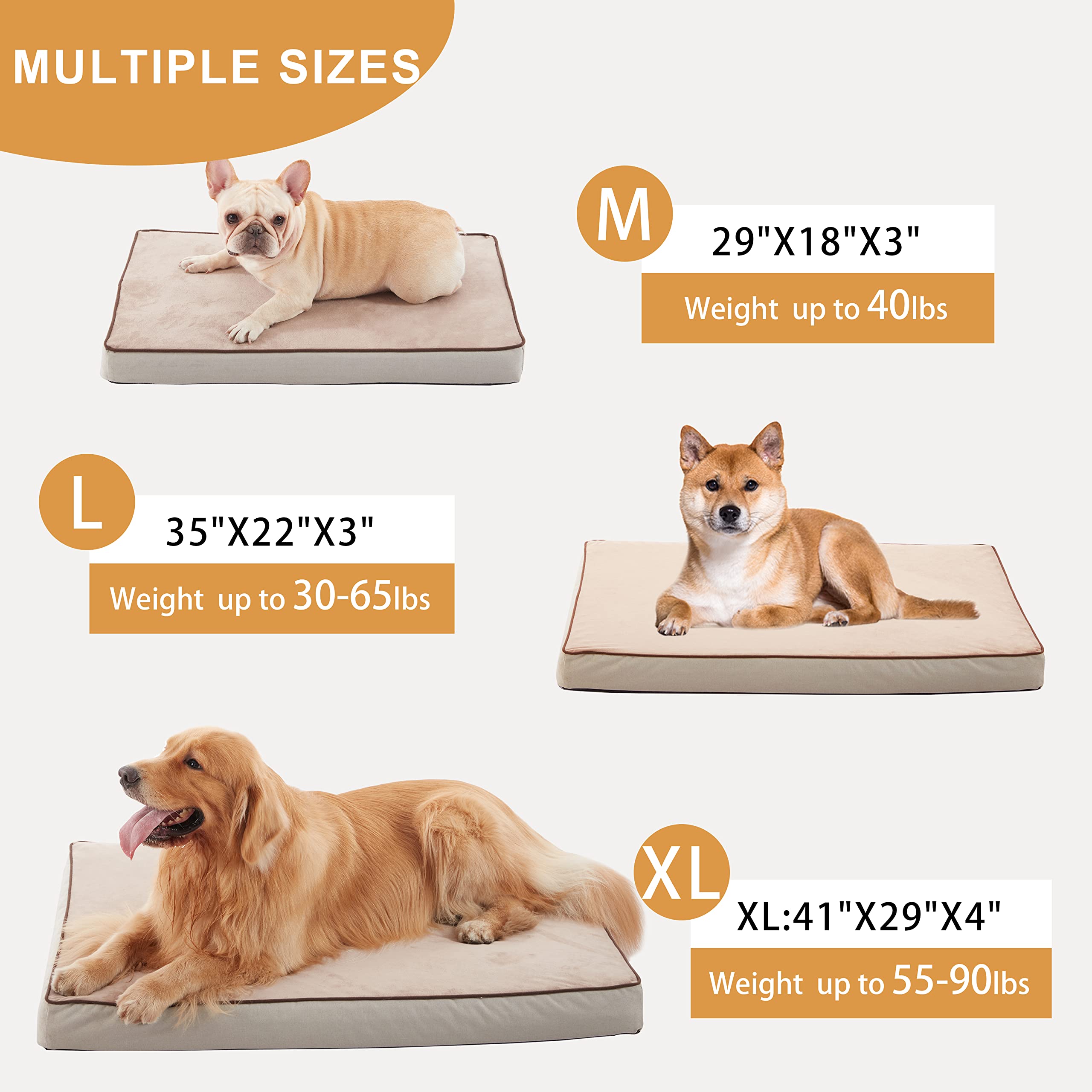 GOHOO PET envio-embalaje-compacto se expande en casa.