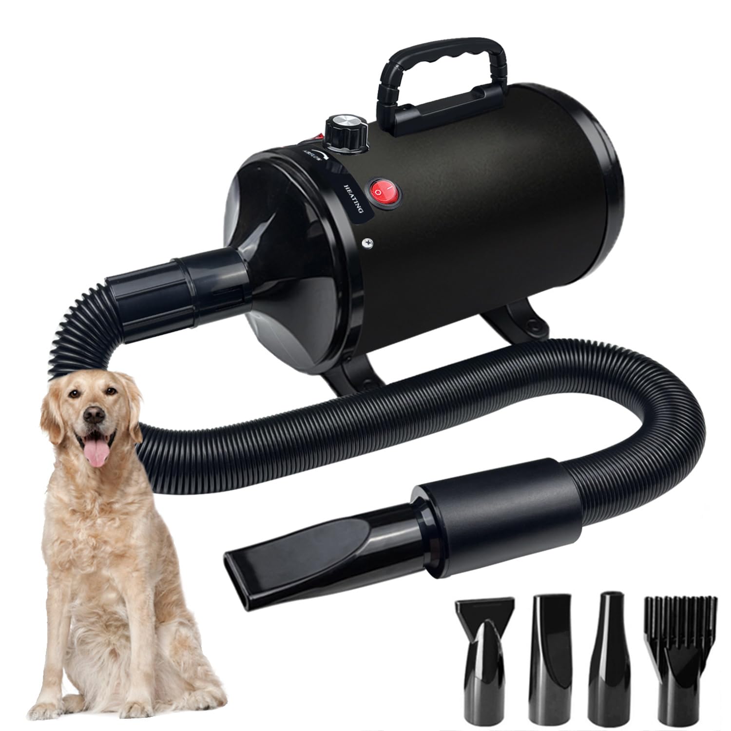 GOLADA secador para perros con alto flujo para secado rápido tras el baño.