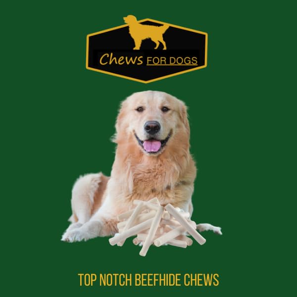 GOLDEN Chews protege muebles gracias a la masticación controlada.